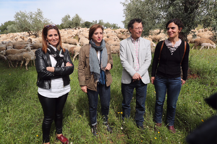 La Alhambra vuelve a recuperar la actividad del pastoreo en la zona del olivar de la Dehesa del Generalife